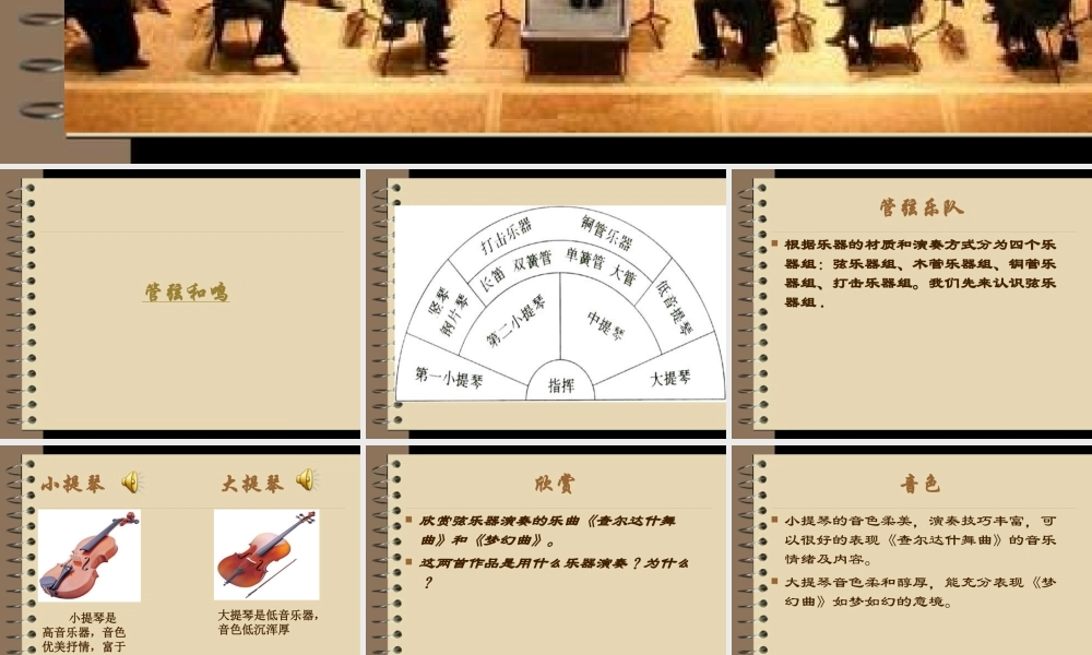 西洋管弦乐队简介弦乐器组木管乐器组铜管乐器组打击乐器组