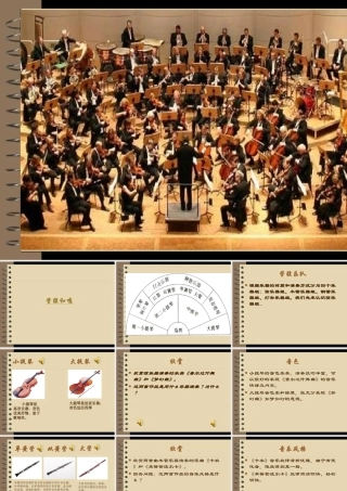 西洋管弦乐队简介弦乐器组木管乐器组铜管乐器组打击乐器组