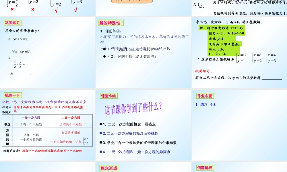 6.8二元一次方程-(2)