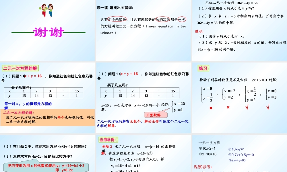 6.8二元一次方程-(2)