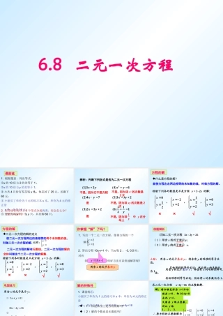 6.8二元一次方程-(2)