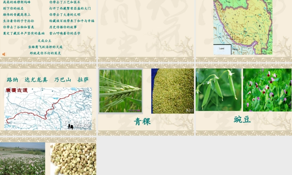 30文成公主进藏(精)