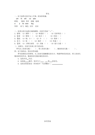 5鸟儿-1翠鸟5.1翠鸟