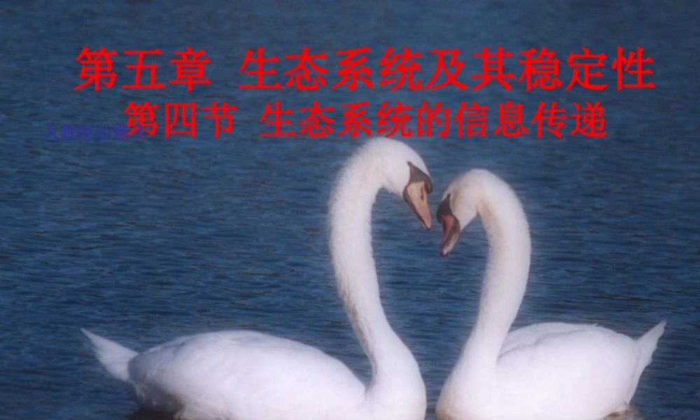 生态系统中的信息传递