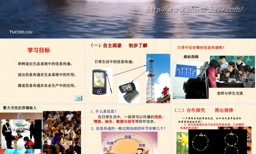 生态系统中的信息传递