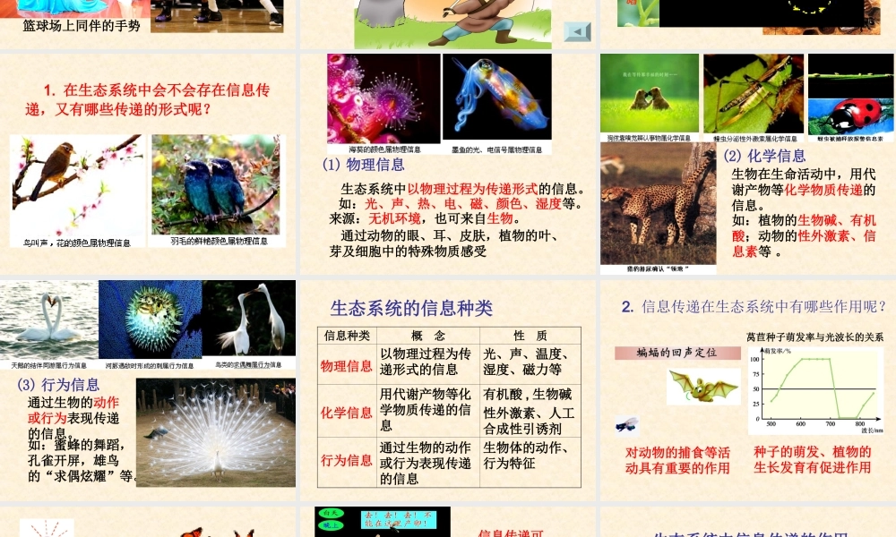 生态系统中的信息传递