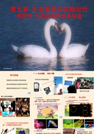 生态系统中的信息传递