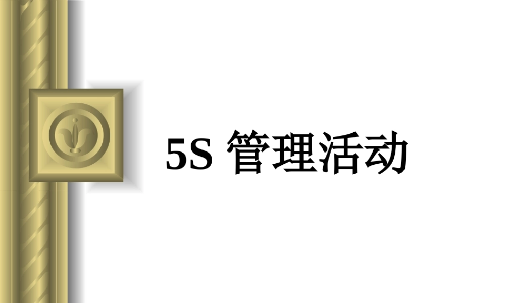 5S基础知识培训课件5S管理简介