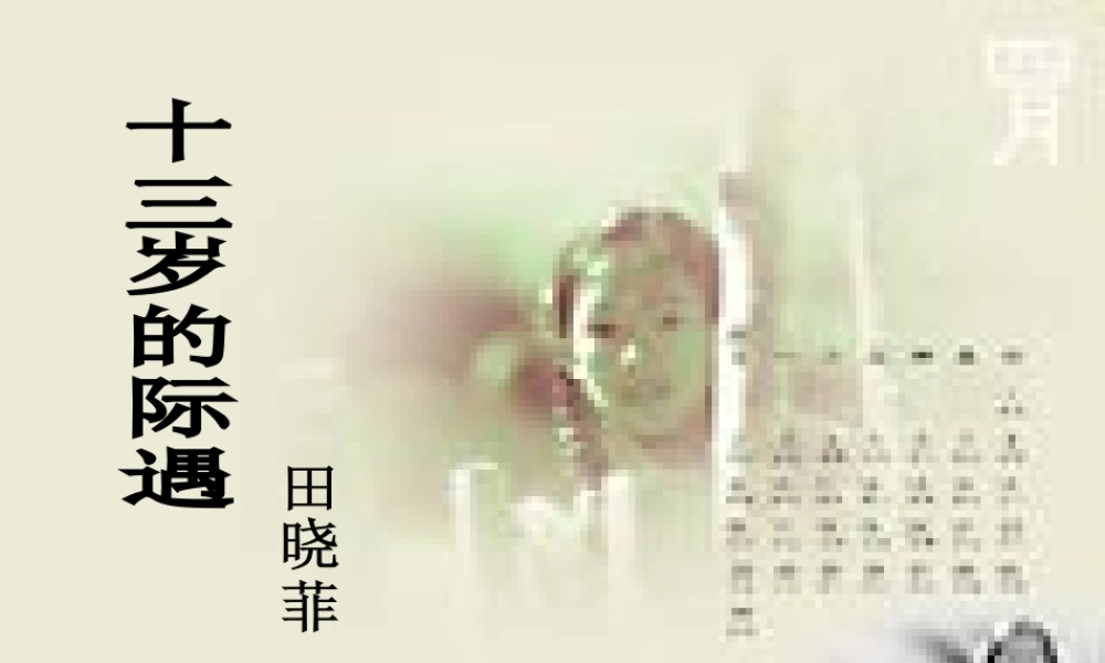 十三岁的际遇1