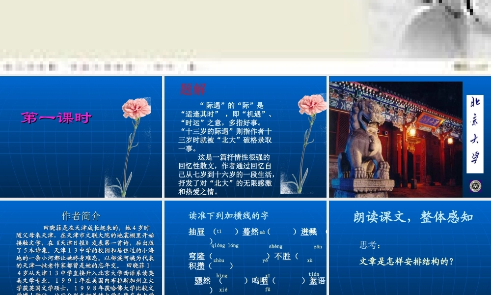 十三岁的际遇1