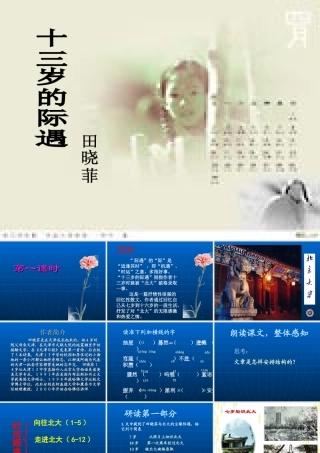 十三岁的际遇1