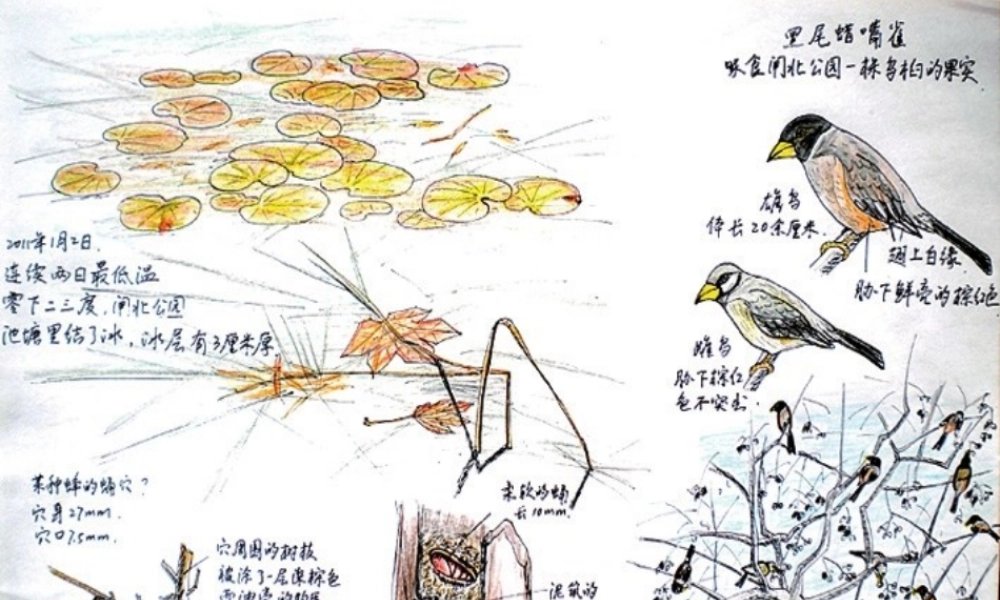 2.手绘学习笔记-(2)