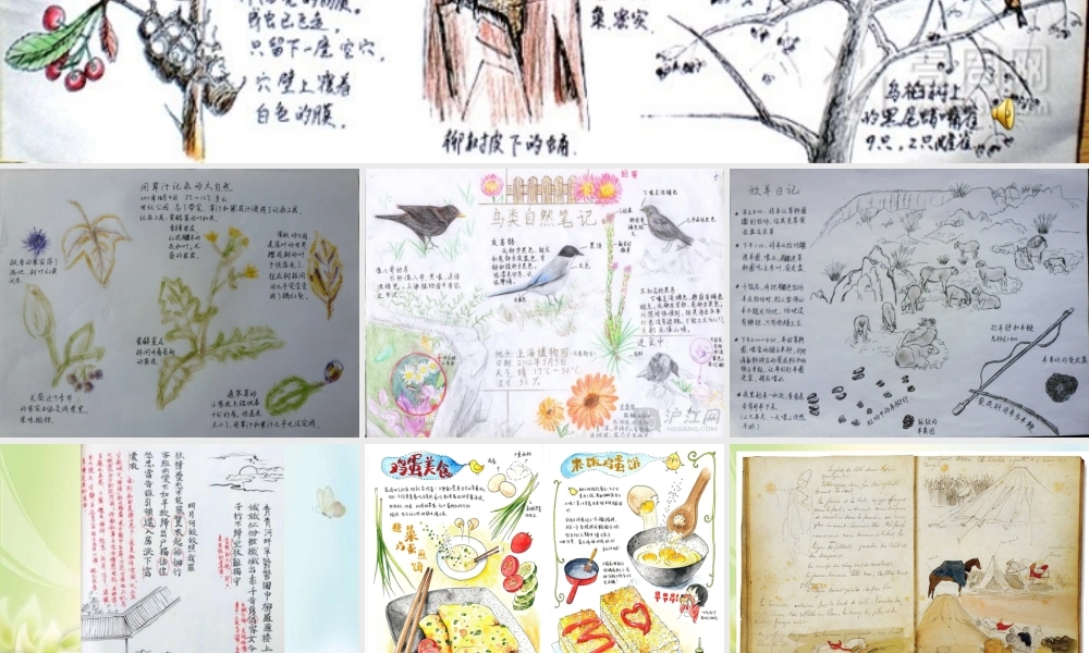 2.手绘学习笔记-(2)