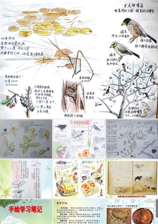 2.手绘学习笔记-(2)