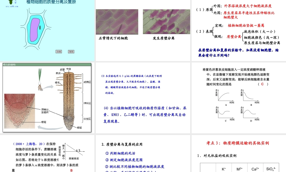 4.1-物质跨膜运输实例