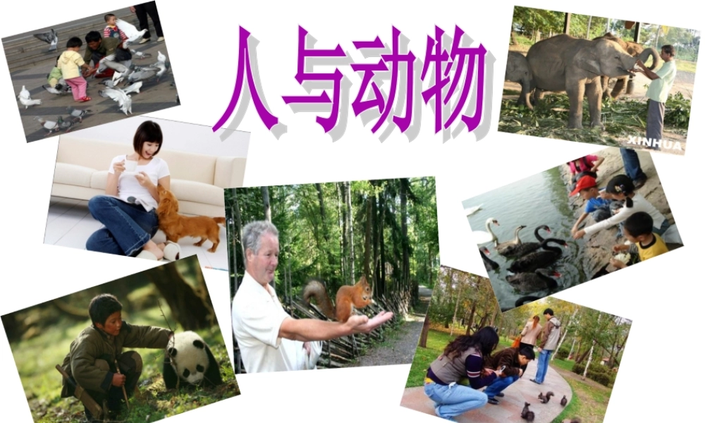 跑进家来的松鼠