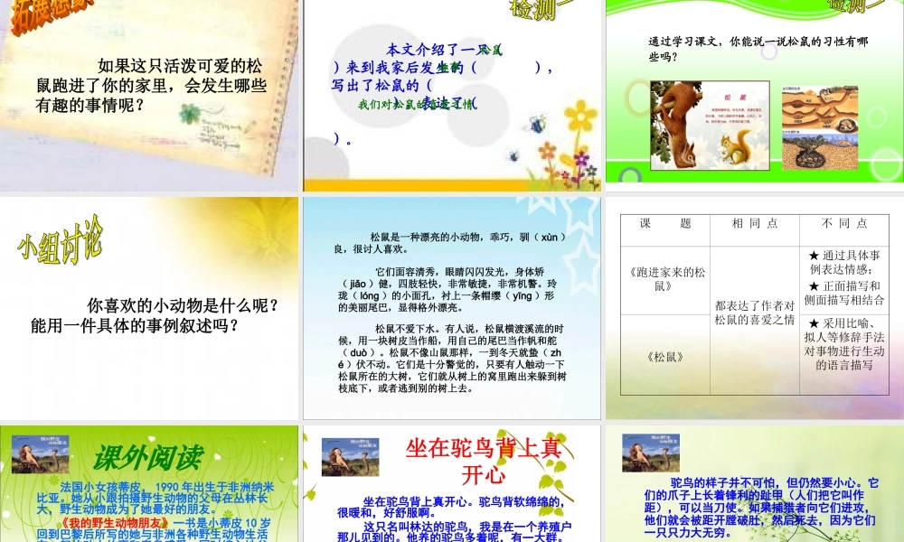 跑进家来的松鼠