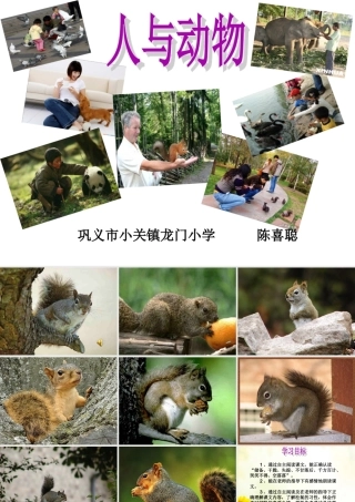 跑进家来的松鼠