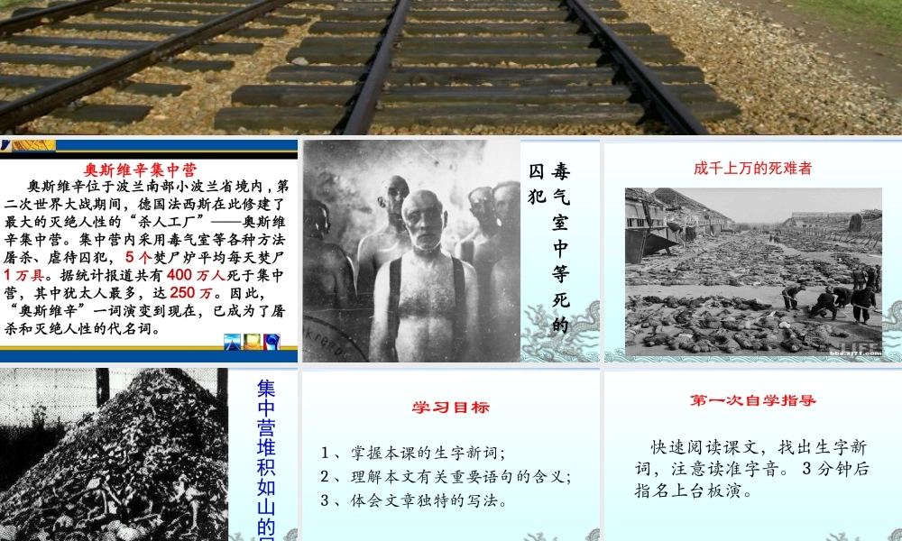 奥斯维辛没有什