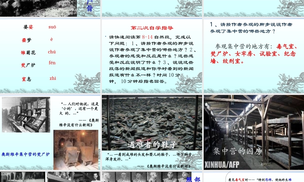 奥斯维辛没有什