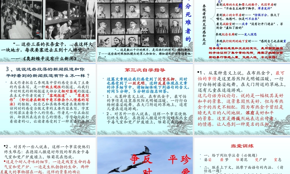 奥斯维辛没有什