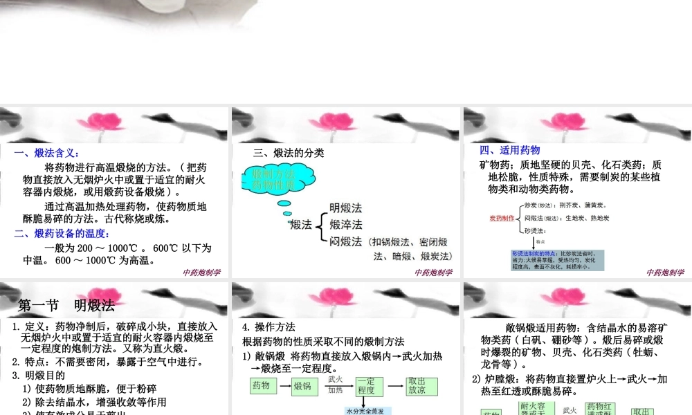 10中药炮制学第13章煅法
