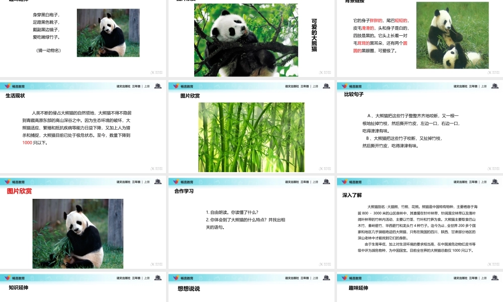 【教学课件】《可爱的大熊猫》(语文)