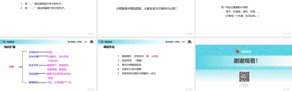 【教学课件】《可爱的大熊猫》(语文)