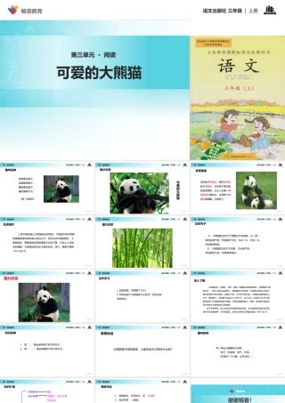 【教学课件】《可爱的大熊猫》(语文)