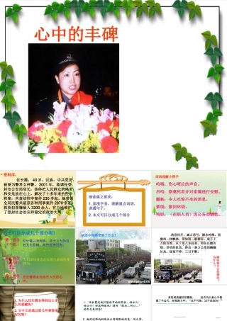 《心中的丰碑》课件