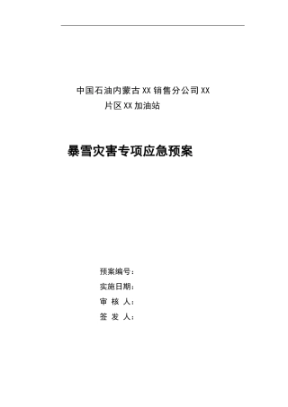 加油站暴雪灾害专项应急预案
