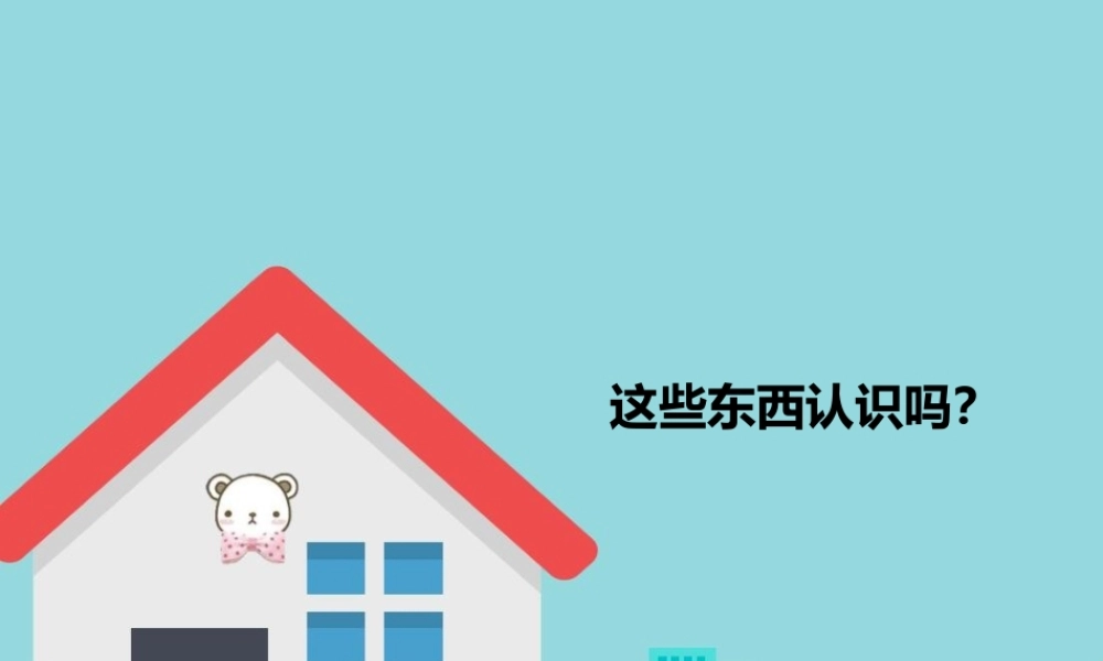 这些东西认识吗？