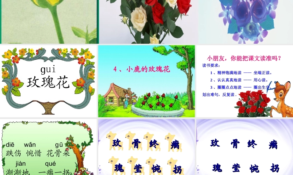 《小鹿的玫瑰花》课件