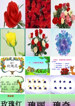 《小鹿的玫瑰花》课件