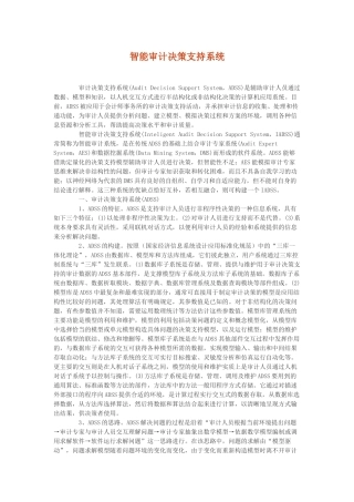 智能审计决策支持系统