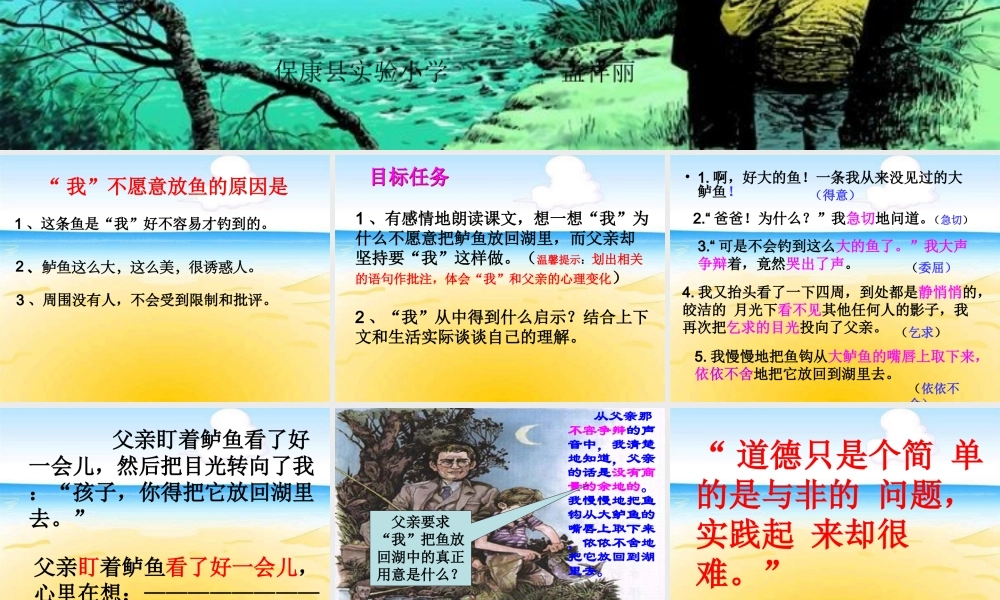 《钓鱼的启示》