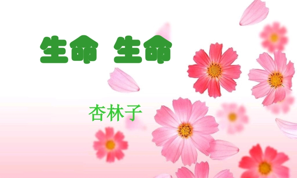 《生命-生命》课件