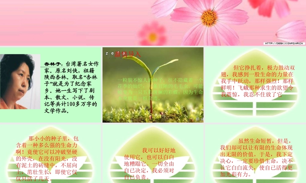 《生命-生命》课件