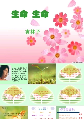 《生命-生命》课件