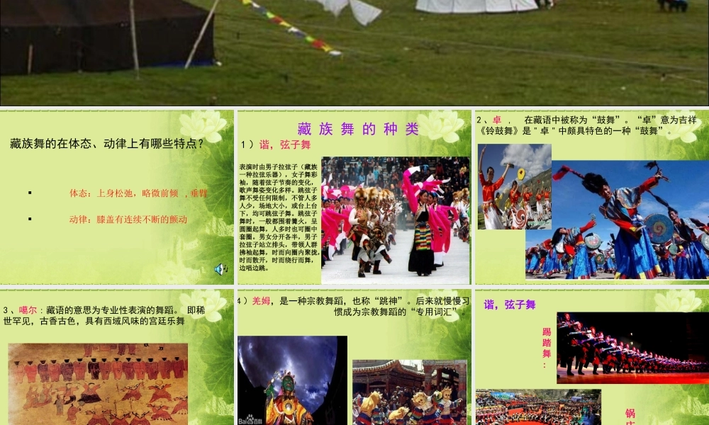 藏族舞蹈基本动作