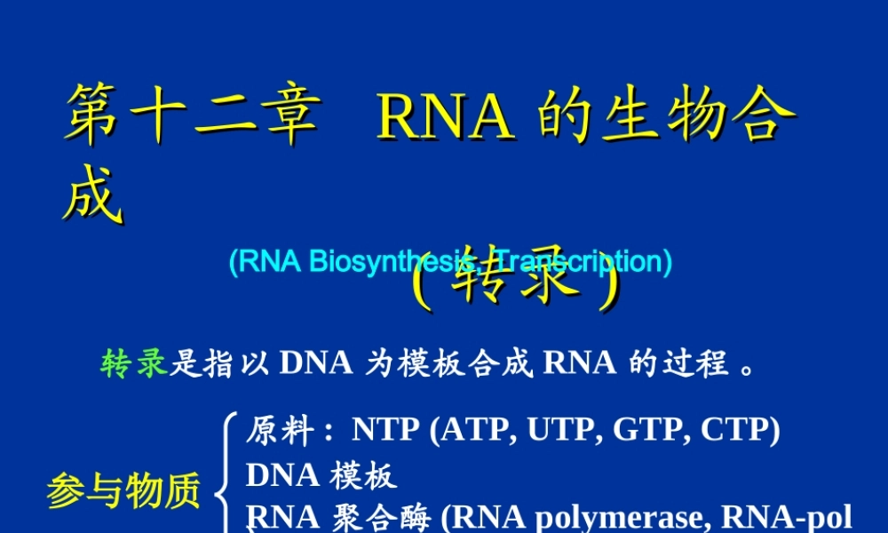 RNA的生物合成(转录)