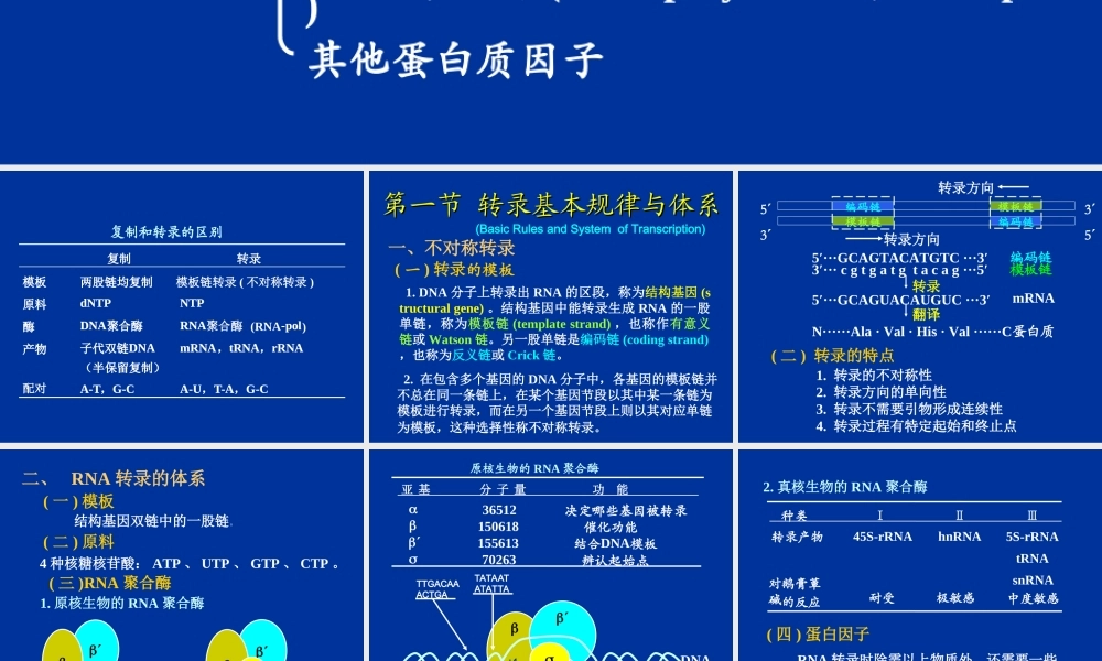 RNA的生物合成(转录)