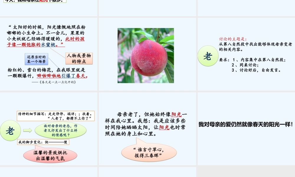 (部编)初中语文人教2011课标版七年级下册《春晖小记》课件
