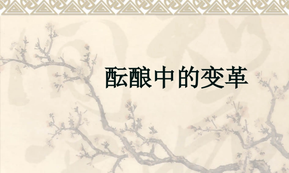 一酝酿中的变革