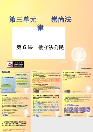 做守法公民复习课(2)