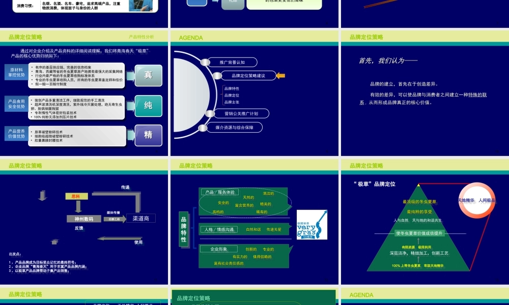 《青海春天极草品牌策略及营销公关建议方案》(61页)