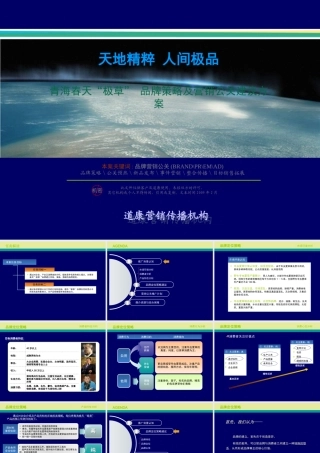 《青海春天极草品牌策略及营销公关建议方案》(61页)