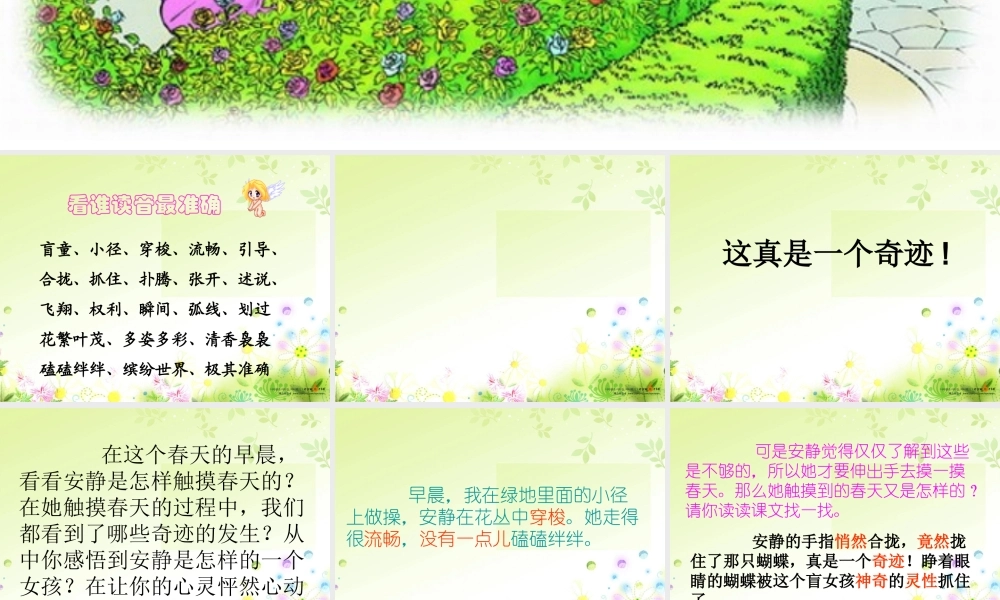 77触摸春天