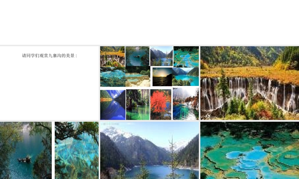 10《九寨沟》