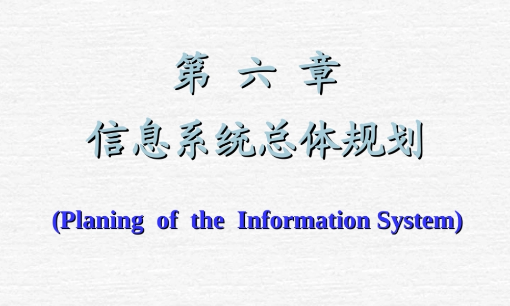 信息系统总体规划